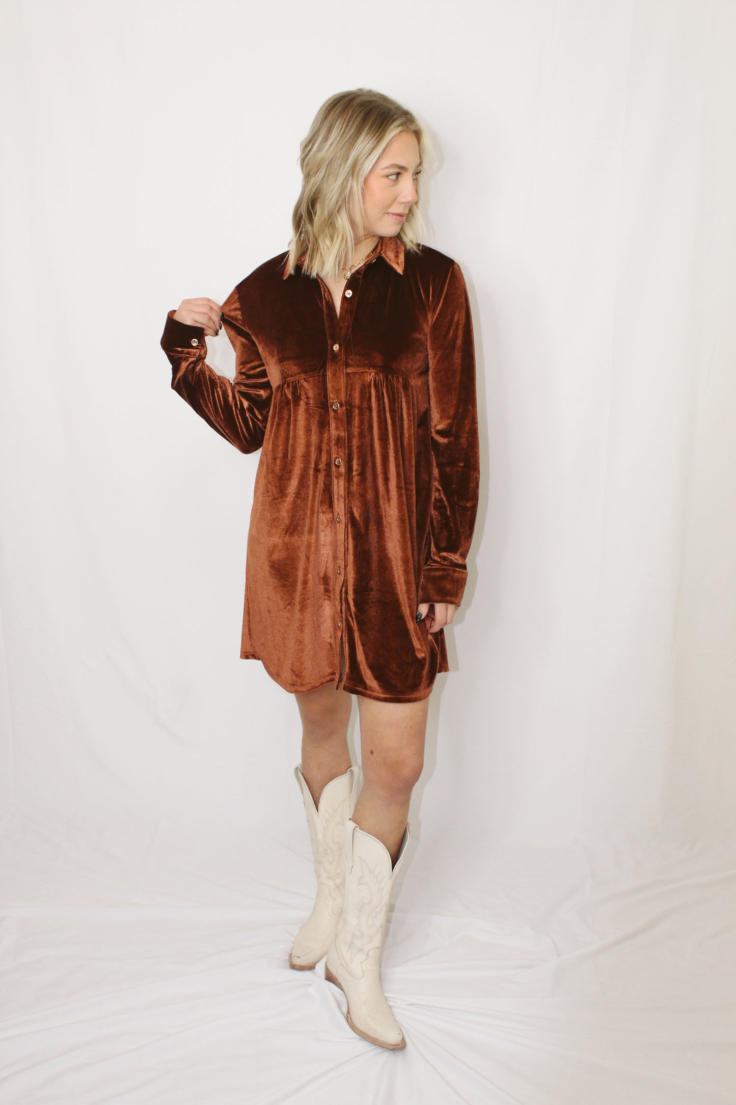 Parker Velvet Dress